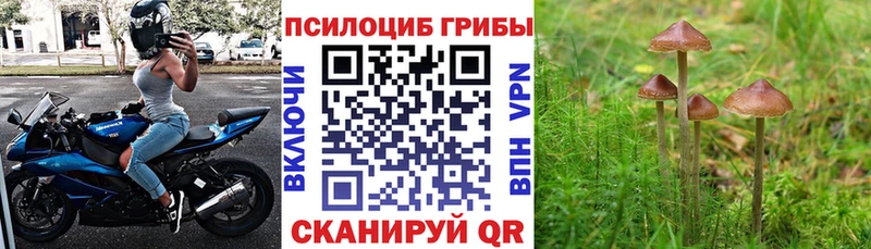 гидра вход  Покачи  Псилоцибиновые грибы MAGIC MUSHROOMS 